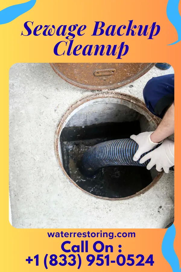 Sewage Backup Cleanup in Fulton, NY