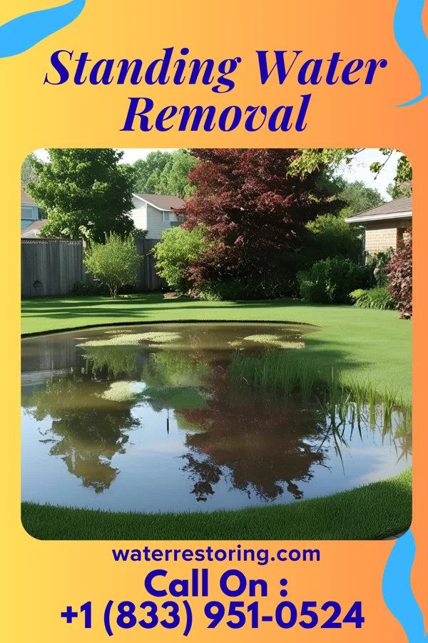 Standing Water Removal in Fulton, NY